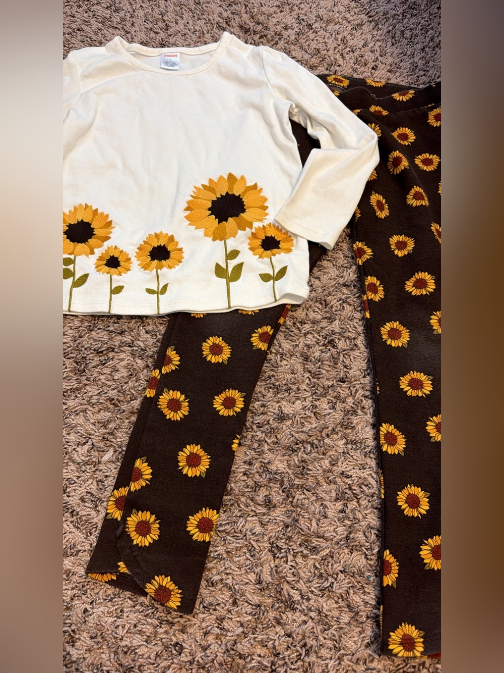 Gymboree Autumn harvest Fall Size 6 2 piece outfit